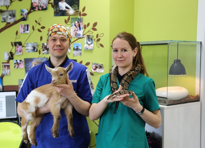 Ветеринар в зоопарке