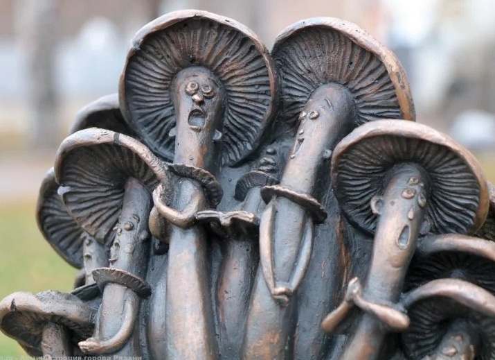 Грибы с глазами!))