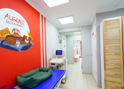 Офтальмолог для животных в Калуге.